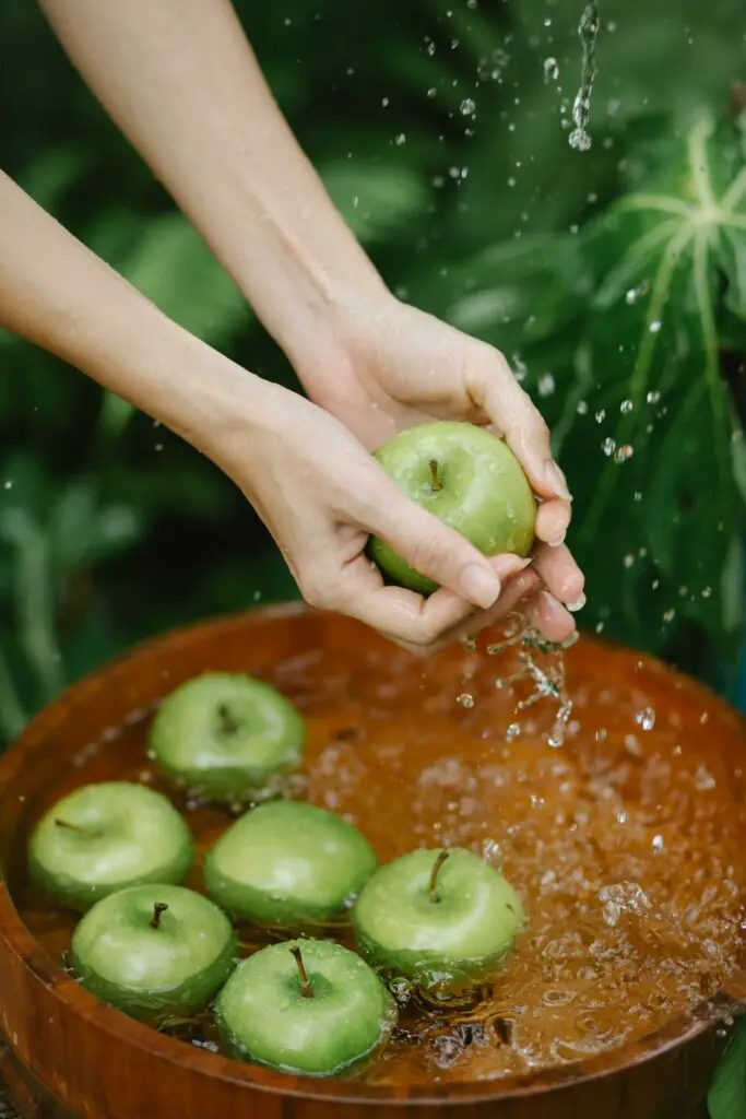 Pommes vertes rincées à la main dans une bassine d'eau